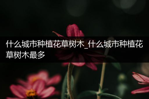 什么城市种植花草树木_什么城市种植花草树木最多