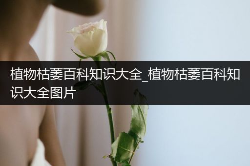 植物枯萎百科知识大全_植物枯萎百科知识大全图片