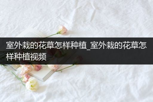 室外栽的花草怎样种植_室外栽的花草怎样种植视频