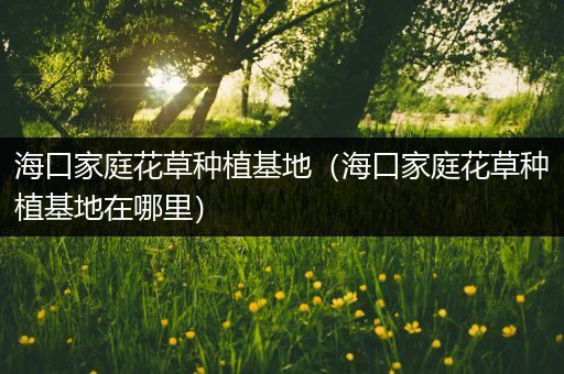 海口家庭花草种植基地（海口家庭花草种植基地在哪里）