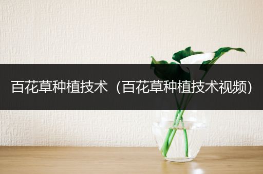 百花草种植技术（百花草种植技术视频）