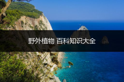 野外植物 百科知识大全