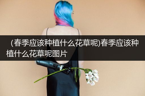 （春季应该种植什么花草呢)春季应该种植什么花草呢图片