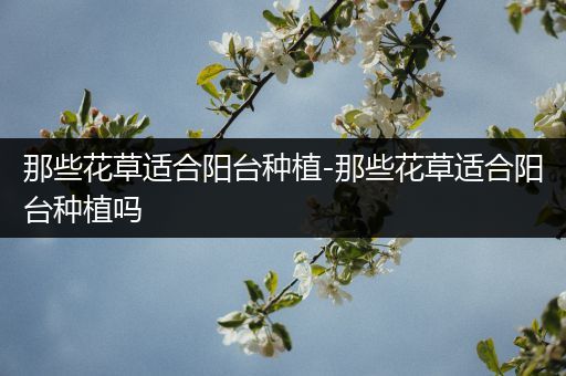 那些花草适合阳台种植-那些花草适合阳台种植吗