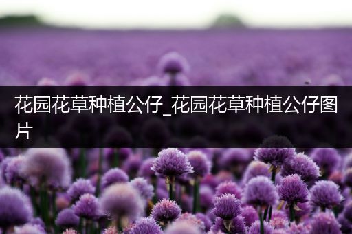 花园花草种植公仔_花园花草种植公仔图片