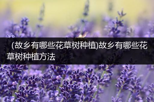（故乡有哪些花草树种植)故乡有哪些花草树种植方法