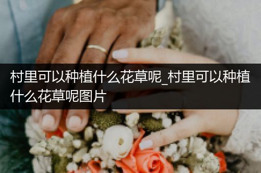 村里可以种植什么花草呢_村里可以种植什么花草呢图片