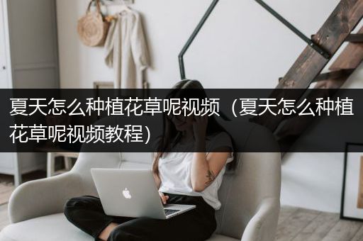 夏天怎么种植花草呢视频（夏天怎么种植花草呢视频教程）