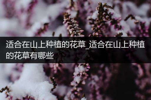 适合在山上种植的花草_适合在山上种植的花草有哪些