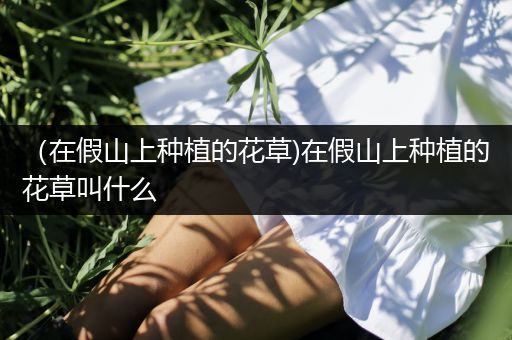 （在假山上种植的花草)在假山上种植的花草叫什么