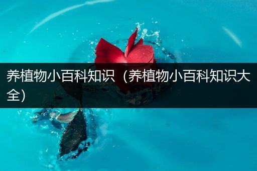 养植物小百科知识（养植物小百科知识大全）