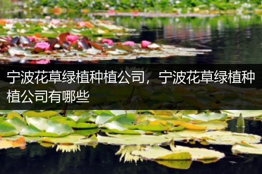 宁波花草绿植种植公司，宁波花草绿植种植公司有哪些