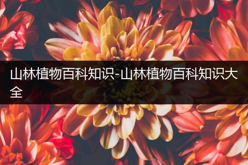 山林植物百科知识-山林植物百科知识大全