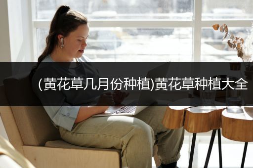 （黄花草几月份种植)黄花草种植大全
