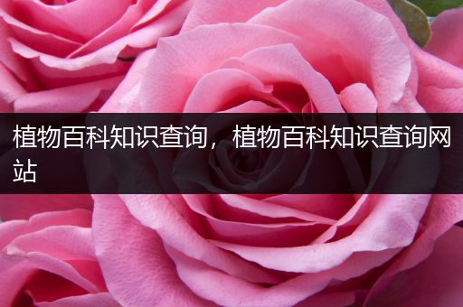 植物百科知识查询，植物百科知识查询网站