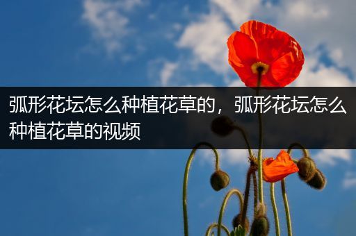 弧形花坛怎么种植花草的，弧形花坛怎么种植花草的视频