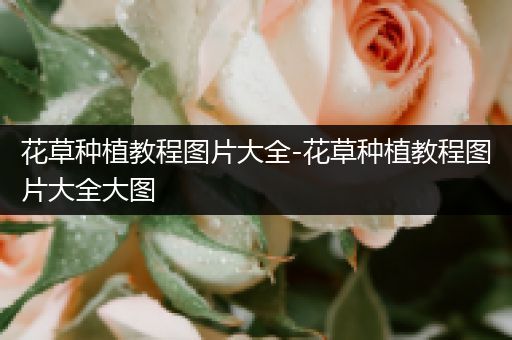 花草种植教程图片大全-花草种植教程图片大全大图