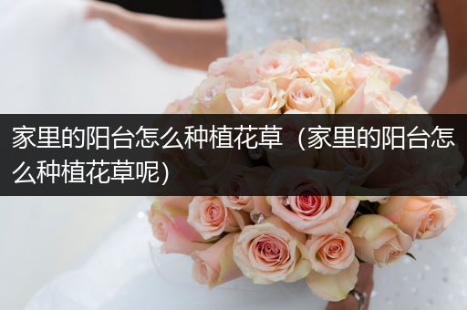 家里的阳台怎么种植花草（家里的阳台怎么种植花草呢）