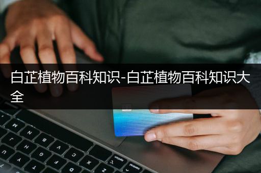白芷植物百科知识-白芷植物百科知识大全