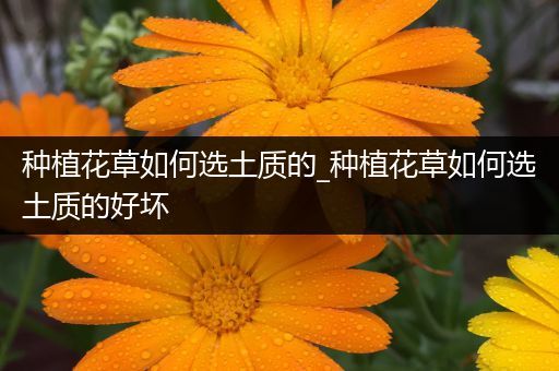 种植花草如何选土质的_种植花草如何选土质的好坏