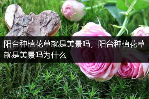阳台种植花草就是美景吗，阳台种植花草就是美景吗为什么