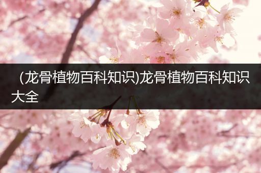 （龙骨植物百科知识)龙骨植物百科知识大全