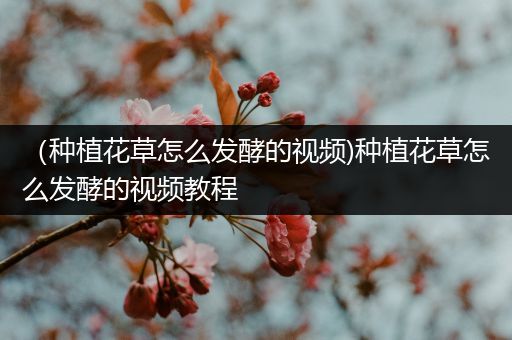 （种植花草怎么发酵的视频)种植花草怎么发酵的视频教程
