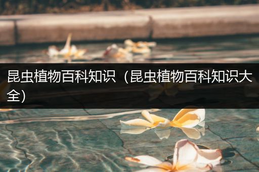 昆虫植物百科知识（昆虫植物百科知识大全）