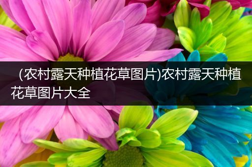 （农村露天种植花草图片)农村露天种植花草图片大全