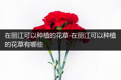 在丽江可以种植的花草-在丽江可以种植的花草有哪些