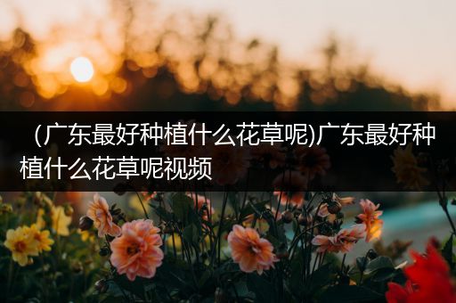 （广东最好种植什么花草呢)广东最好种植什么花草呢视频