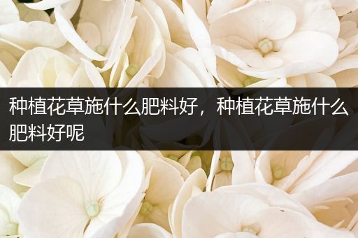 种植花草施什么肥料好，种植花草施什么肥料好呢