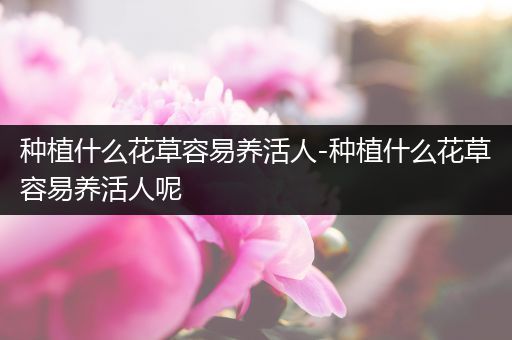 种植什么花草容易养活人-种植什么花草容易养活人呢