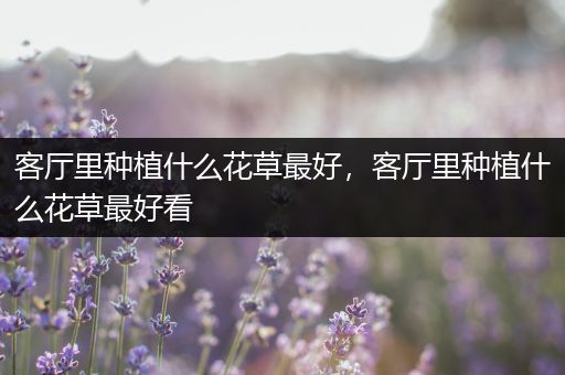 客厅里种植什么花草最好，客厅里种植什么花草最好看