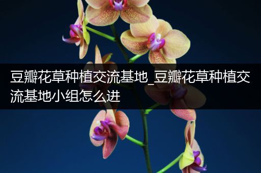 豆瓣花草种植交流基地_豆瓣花草种植交流基地小组怎么进