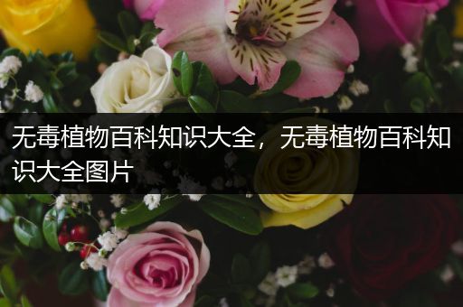 无毒植物百科知识大全，无毒植物百科知识大全图片