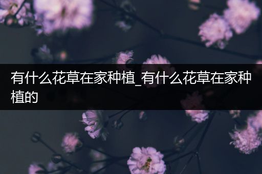 有什么花草在家种植_有什么花草在家种植的