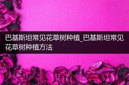 巴基斯坦常见花草树种植_巴基斯坦常见花草树种植方法