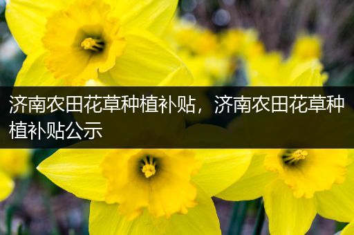 济南农田花草种植补贴，济南农田花草种植补贴公示