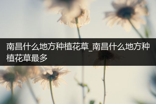 南昌什么地方种植花草_南昌什么地方种植花草最多
