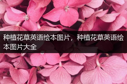 种植花草英语绘本图片，种植花草英语绘本图片大全