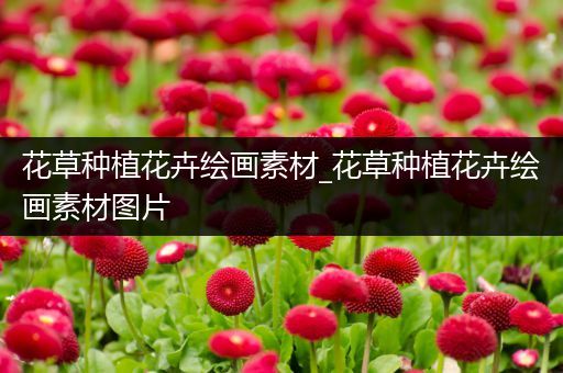 花草种植花卉绘画素材_花草种植花卉绘画素材图片