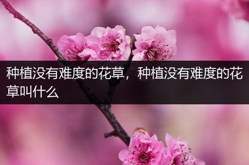种植没有难度的花草，种植没有难度的花草叫什么