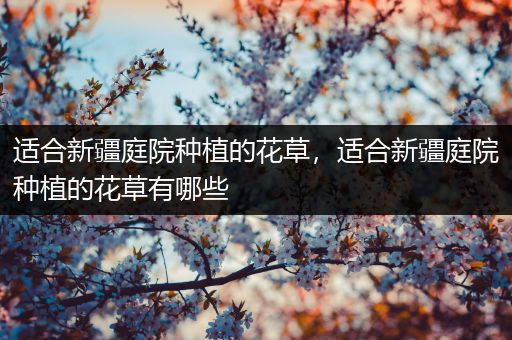 适合新疆庭院种植的花草，适合新疆庭院种植的花草有哪些