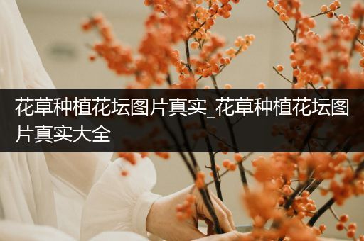 花草种植花坛图片真实_花草种植花坛图片真实大全