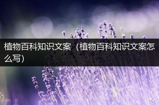 植物百科知识文案（植物百科知识文案怎么写）