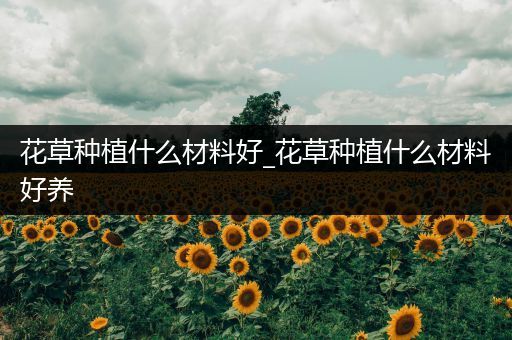 花草种植什么材料好_花草种植什么材料好养