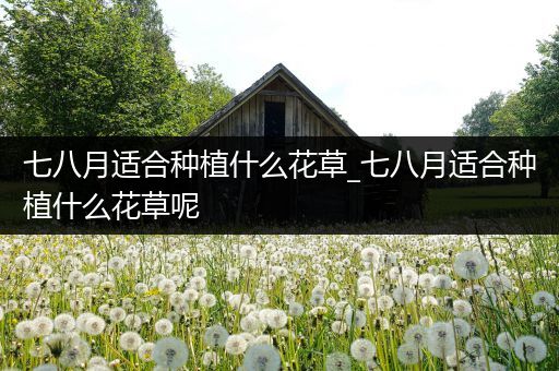 七八月适合种植什么花草_七八月适合种植什么花草呢