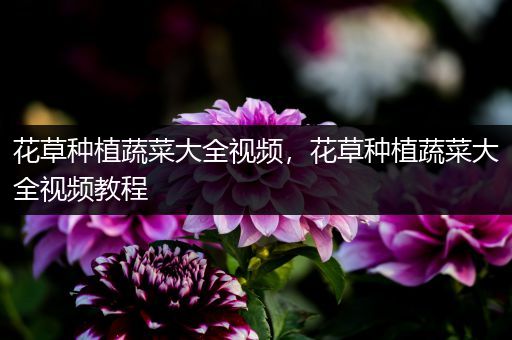 花草种植蔬菜大全视频，花草种植蔬菜大全视频教程