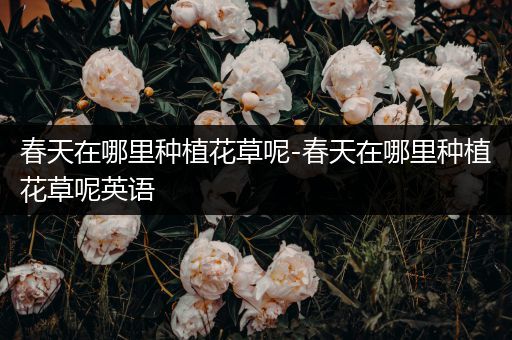春天在哪里种植花草呢-春天在哪里种植花草呢英语